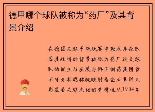 德甲哪个球队被称为“药厂”及其背景介绍